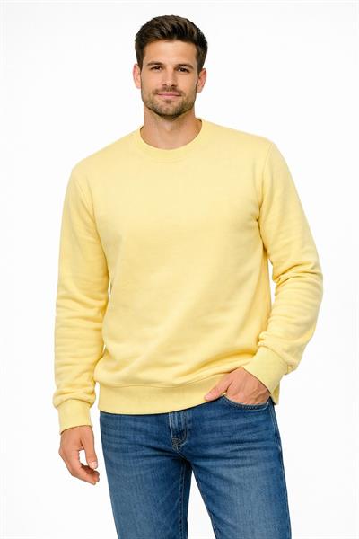 Erkek Bisiklet Yaka Regular Fit 3 İplik Pamuklu Sarı Sweatshirt