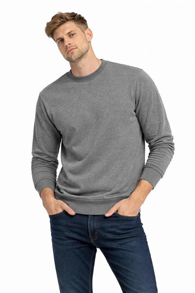 Erkek Bisiklet Yaka Regular Fit 3 İplik Pamuklu Antrasit Sweatshirt