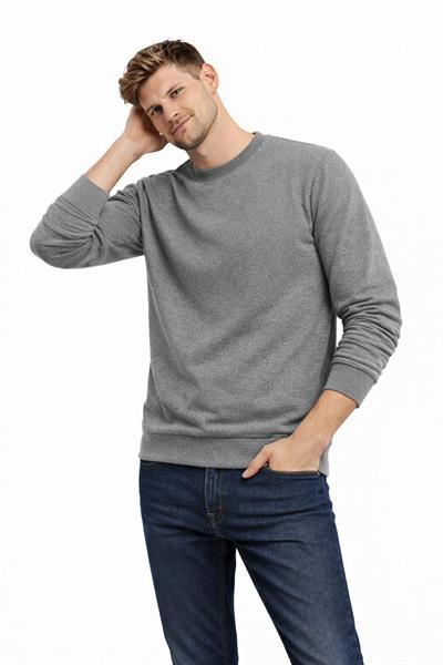 Erkek Bisiklet Yaka Regular Fit 3 İplik Pamuklu Antrasit Sweatshirt