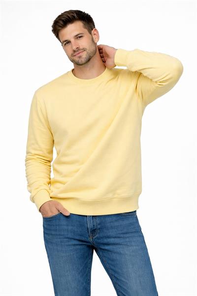 Erkek Bisiklet Yaka Regular Fit 3 İplik Pamuklu Sarı Sweatshirt