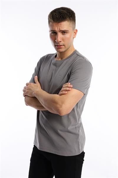 Erkek Golf Nakışlı Regular Fit Basic Tişört Gri