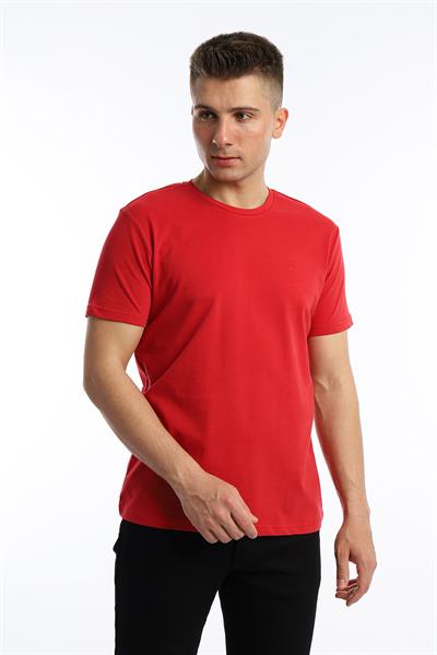 Erkek Golf Nakışlı Regular Fit Basic Tişört Kırmızı