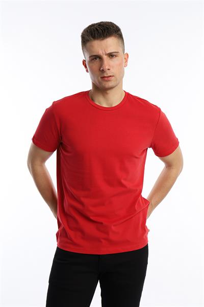 Erkek Golf Nakışlı Regular Fit Basic Tişört Kırmızı