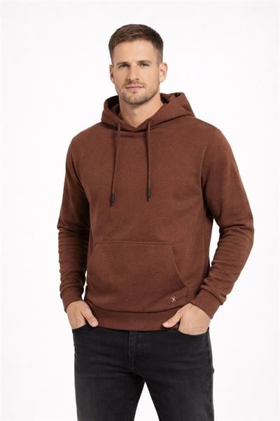 Erkek Kapüşonlu 3 İplik İçi Şardonlu Nakışlı Sweatshirt Kahverengi