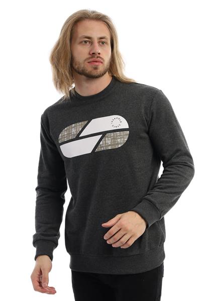 Erkek 3 İplik Pamuklu Baskılı Regular Fit Basic Bisiklet Yaka Antrasit Sweatshirt