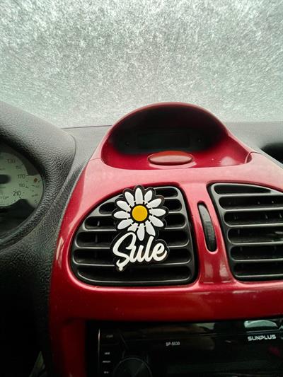 Papatya Model Kişiye Özel Klima Süsü