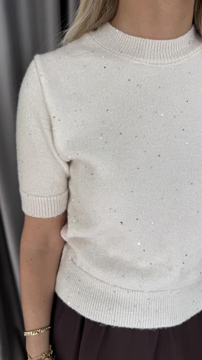 Pul Payet İşlemeli Ekru Triko