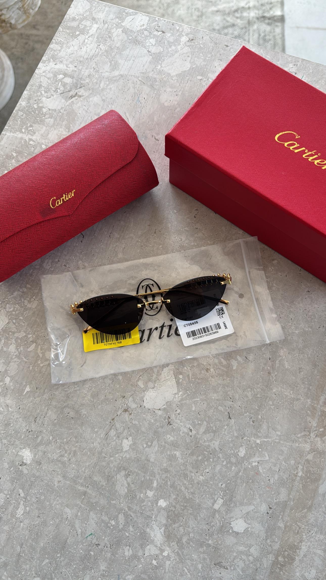 CARTİER  GLASSES