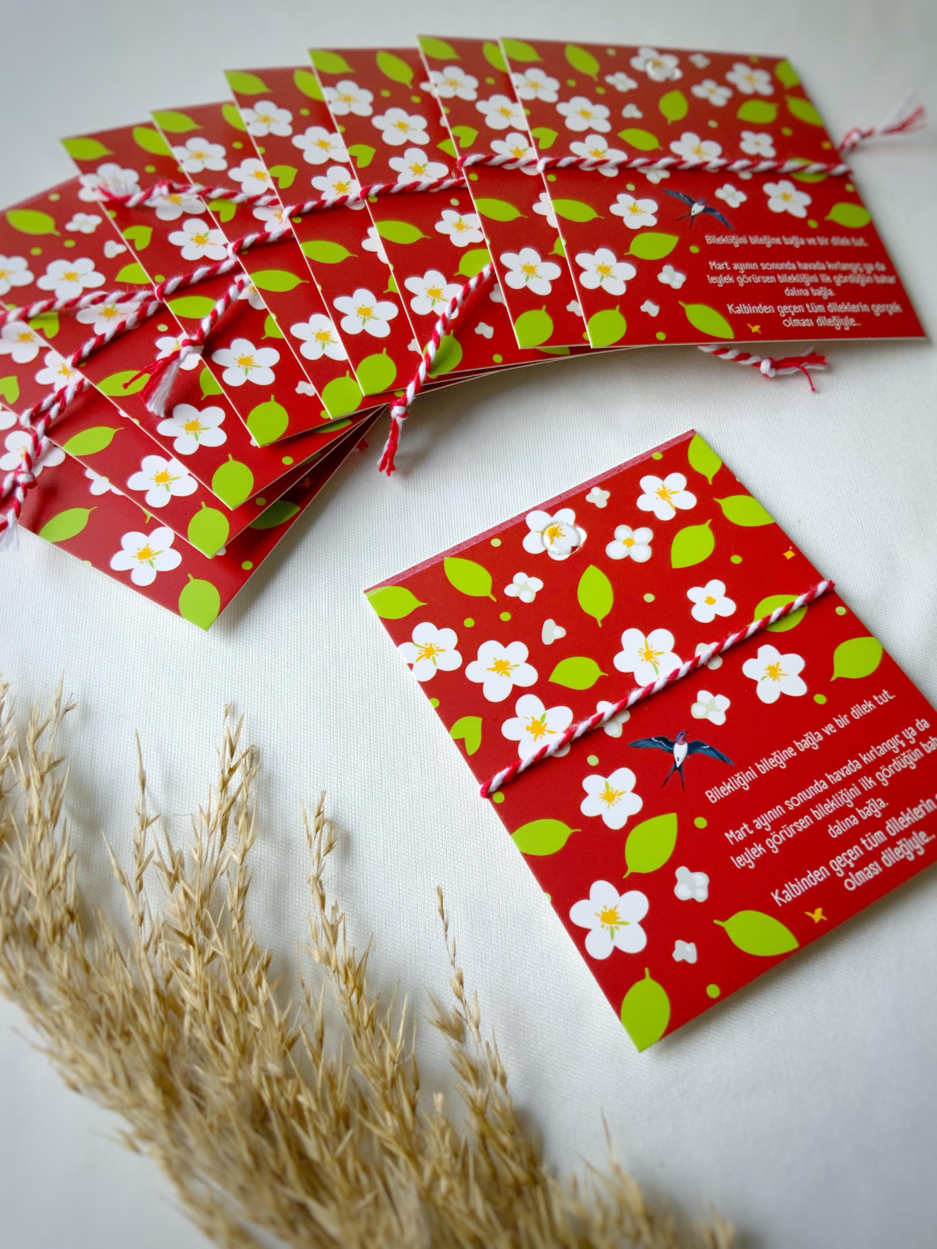 10lu Hediyelik Marteniçka Dilek Bilekliği