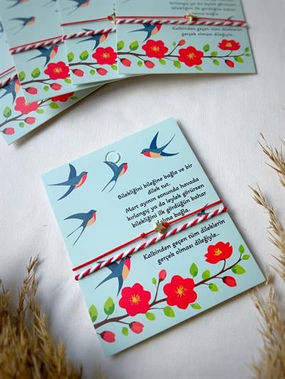 10lu Hediyelik Mart Dilek Bilekliği Seti