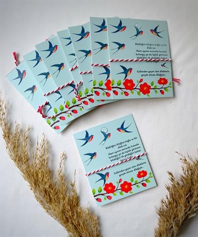 10lu Hediyelik Mart Dilek Bilekliği Seti