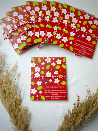 10lu Hediyelik Marteniçka Dilek Bilekliği