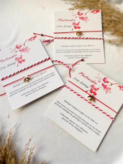 3 Adet Kırlangıç Detaylı Marteniçka Seti