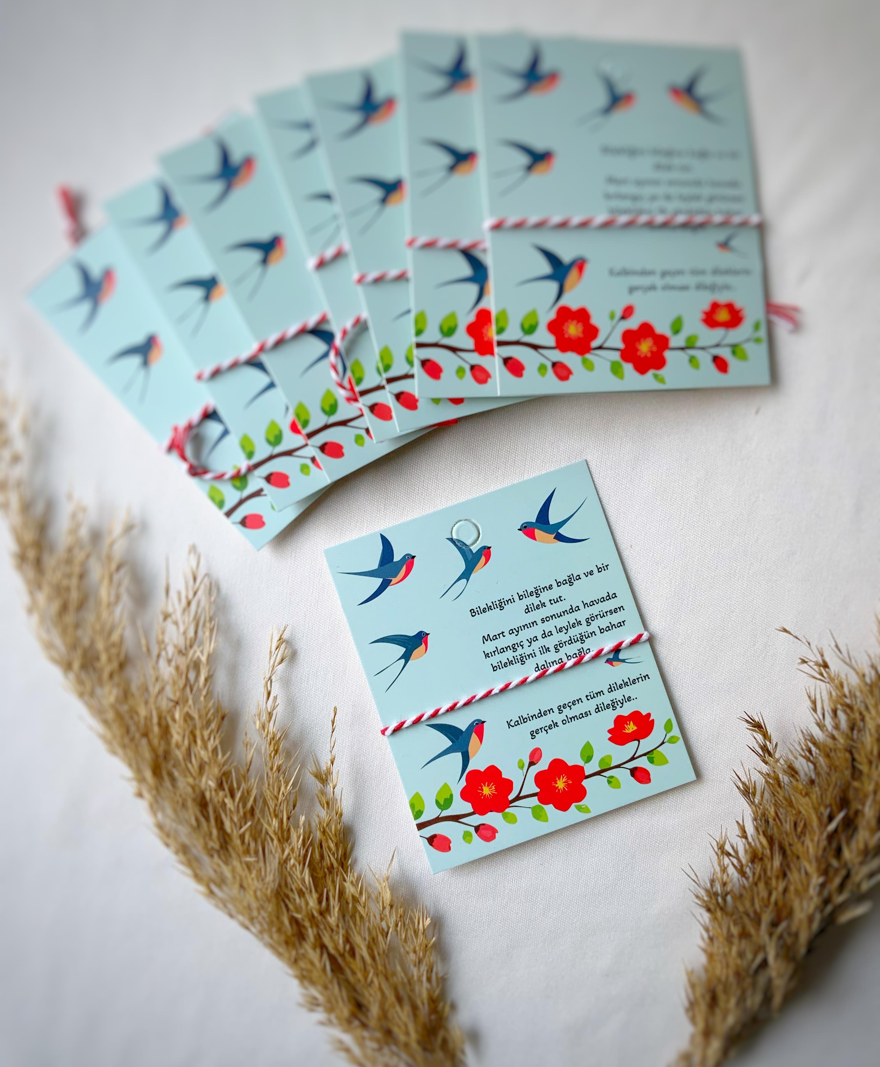 10lu Hediyelik Mart Dilek Bilekliği Seti