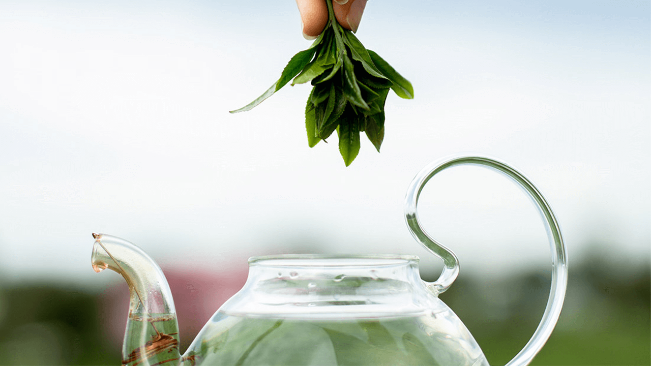 The Journey of Tea