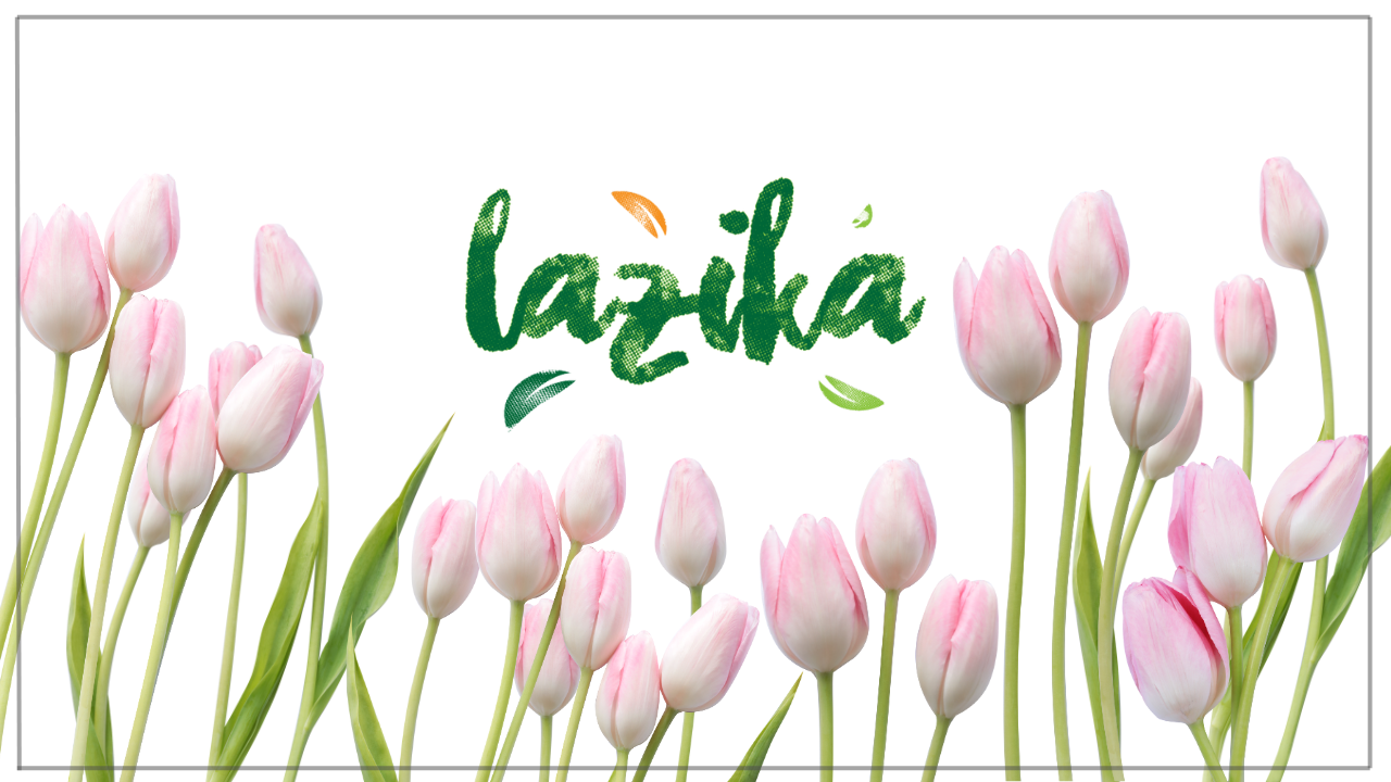 The Tulip’s Legacy in Turkish Culture: Why the Tulip-Shaped Tea Glass Holds Special Meaning