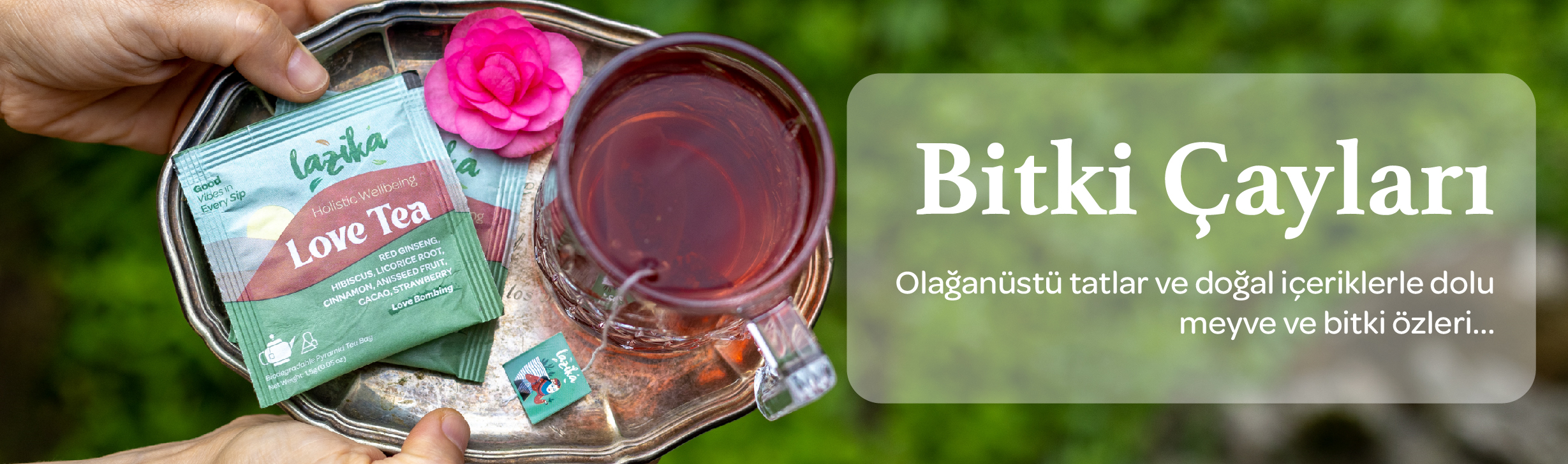 Bitki Çayları