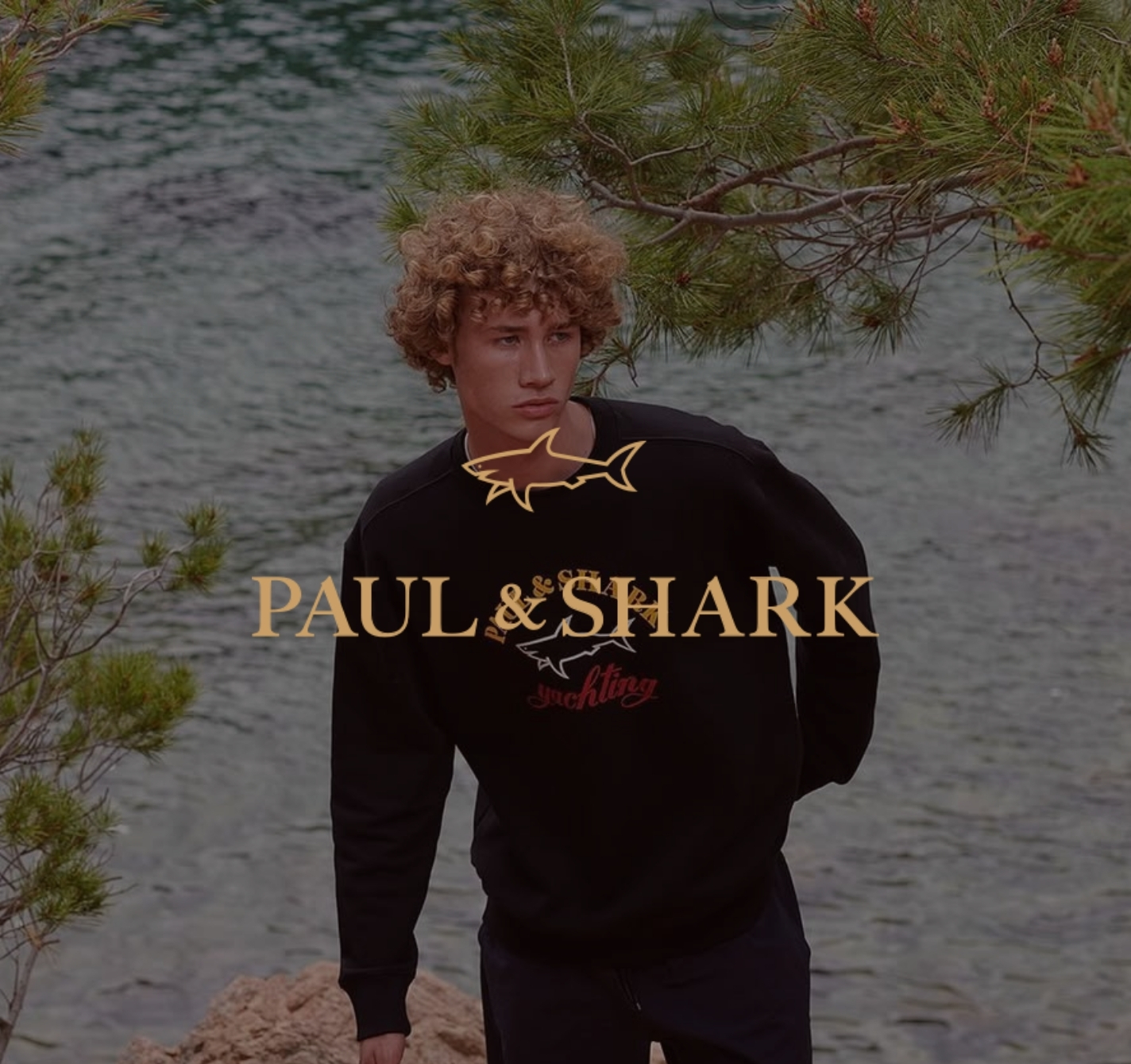 Paul Shark