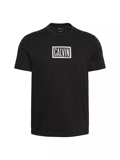Calvin Klein Erkek Regular Fit Kutu Logo Grafik Baskılı Bisiklet Yaka Kısa Kollu Siyah T-Shirt LV04RH818G-UB1