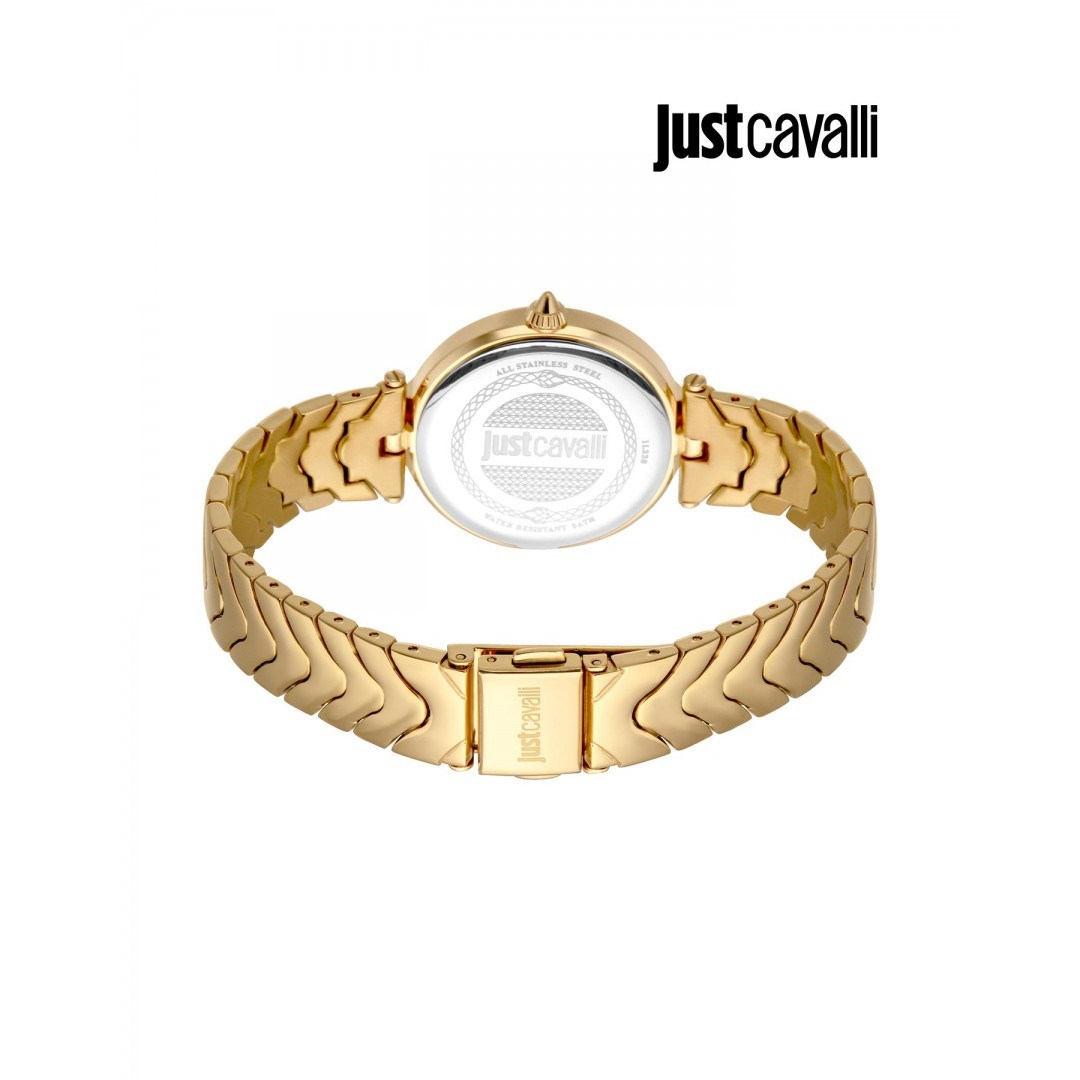 Just Cavalli JC1L238M0065 Kadın Kol Saati