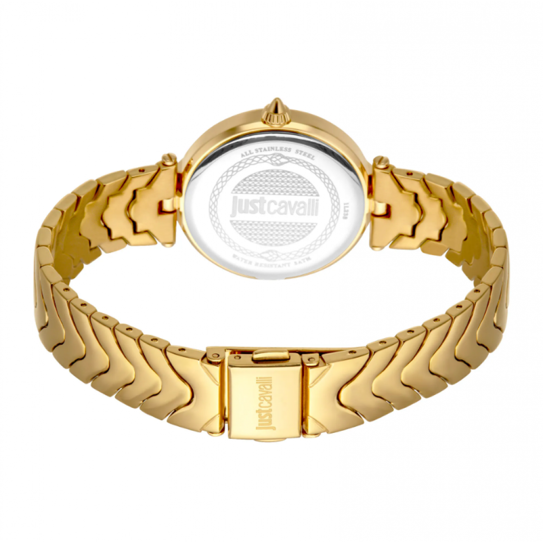 Just Cavalli JC1L238M0075 Kadın Kol Saati
