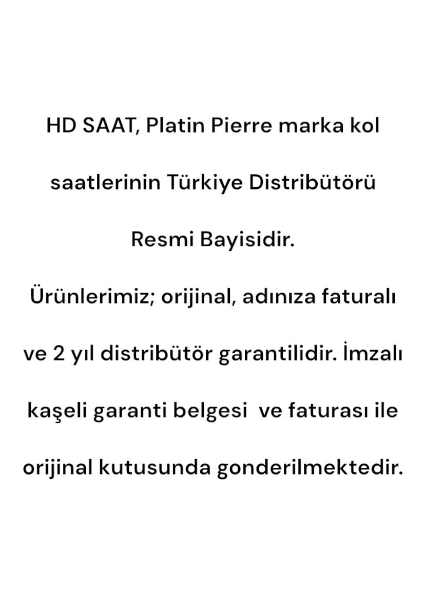 HDS-PL-1220GA-A1 Çelik Kordon Takvimli Erkek Kol Saati