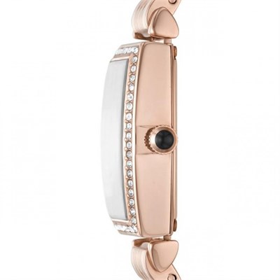 Emporio Armani AR11406 Kadın Kol Saati