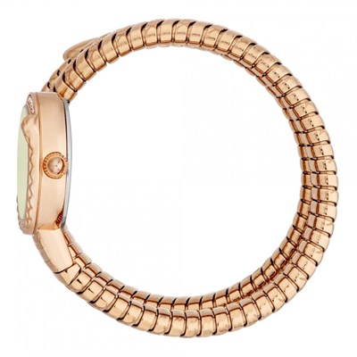 Just Cavalli JC1L302M0045 Kadın Kol Saati