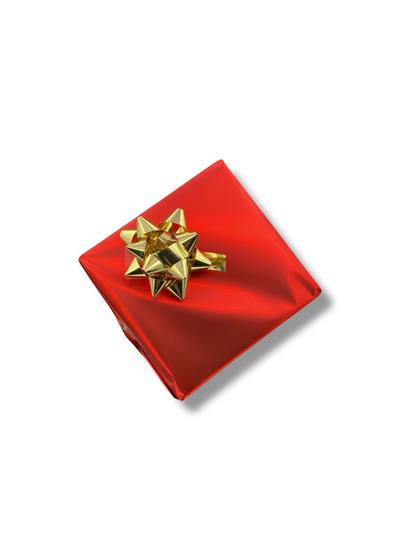 HDS-PL-1223GA-A2 Çelik Kordon Takvimli Erkek Kol Saati
