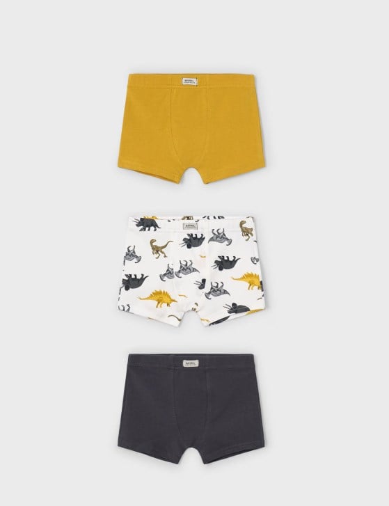 10035 SET-3 LU BOXER