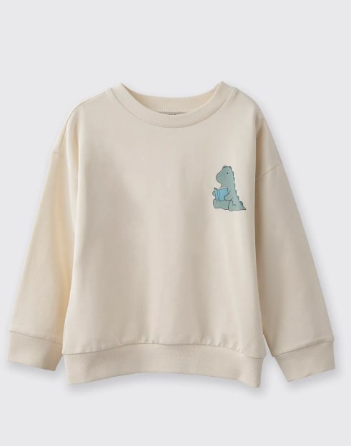 ERKEK BEBEK 2521BB08013 AUTHOR DINO SWEATSHIRT
