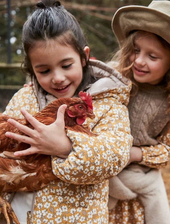 4444 MONT-IKI TARAFLI