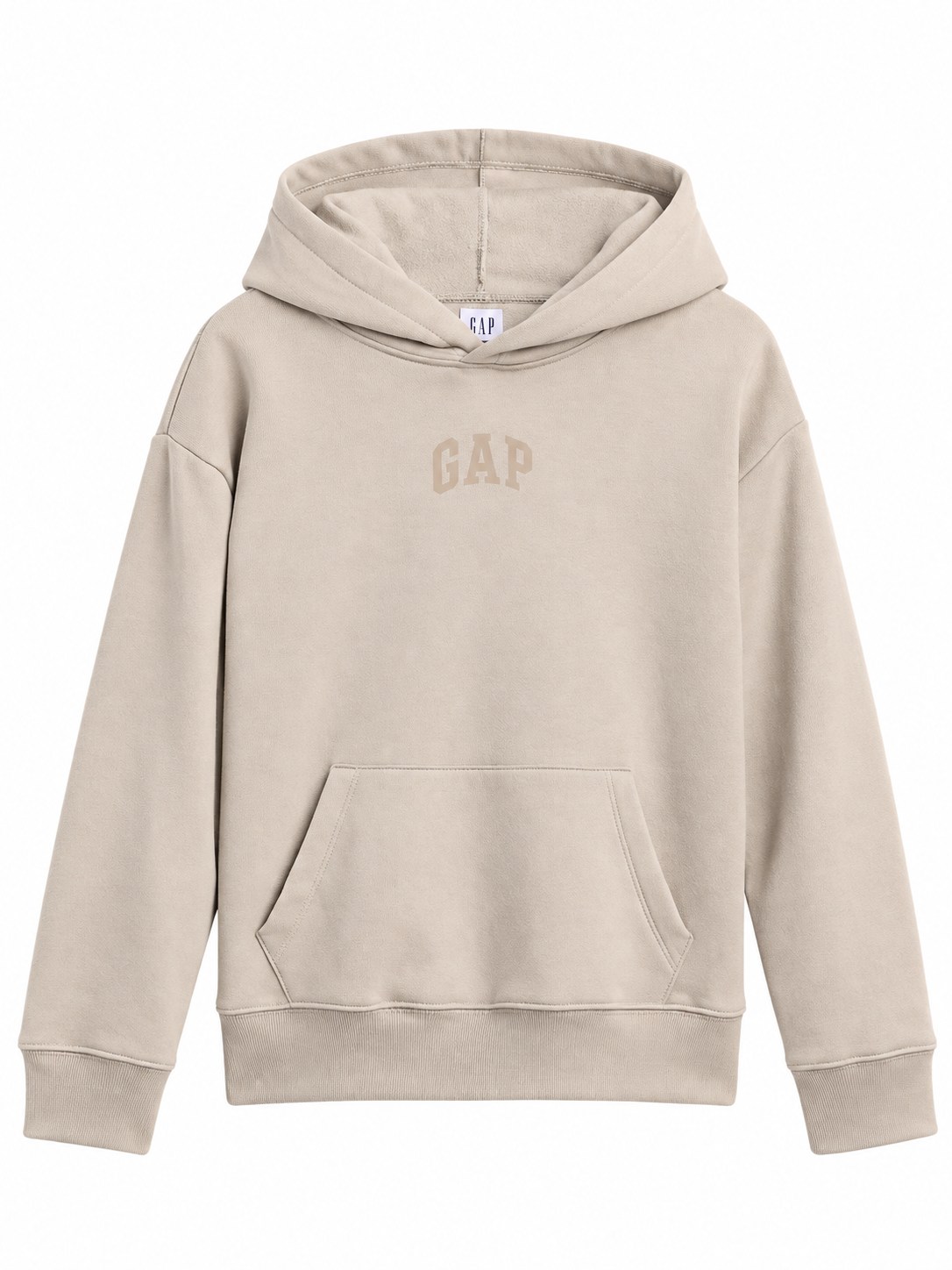 GAP V-F26 DBL HIT LOGO PO HD FROSTY MORNING