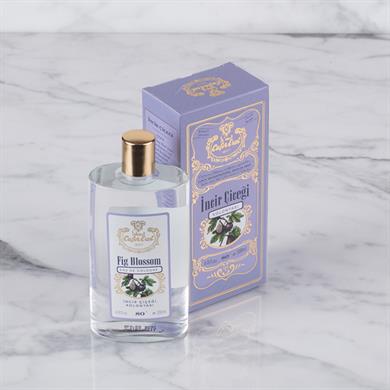 كولونيا زهرة التين