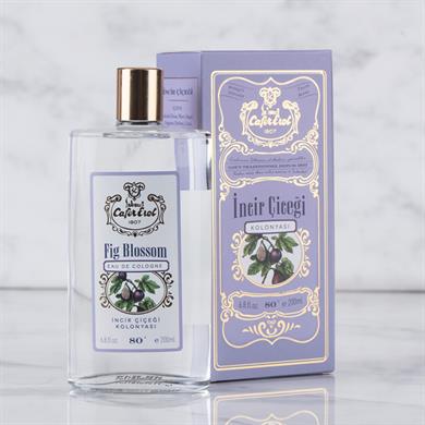 كولونيا زهرة التين