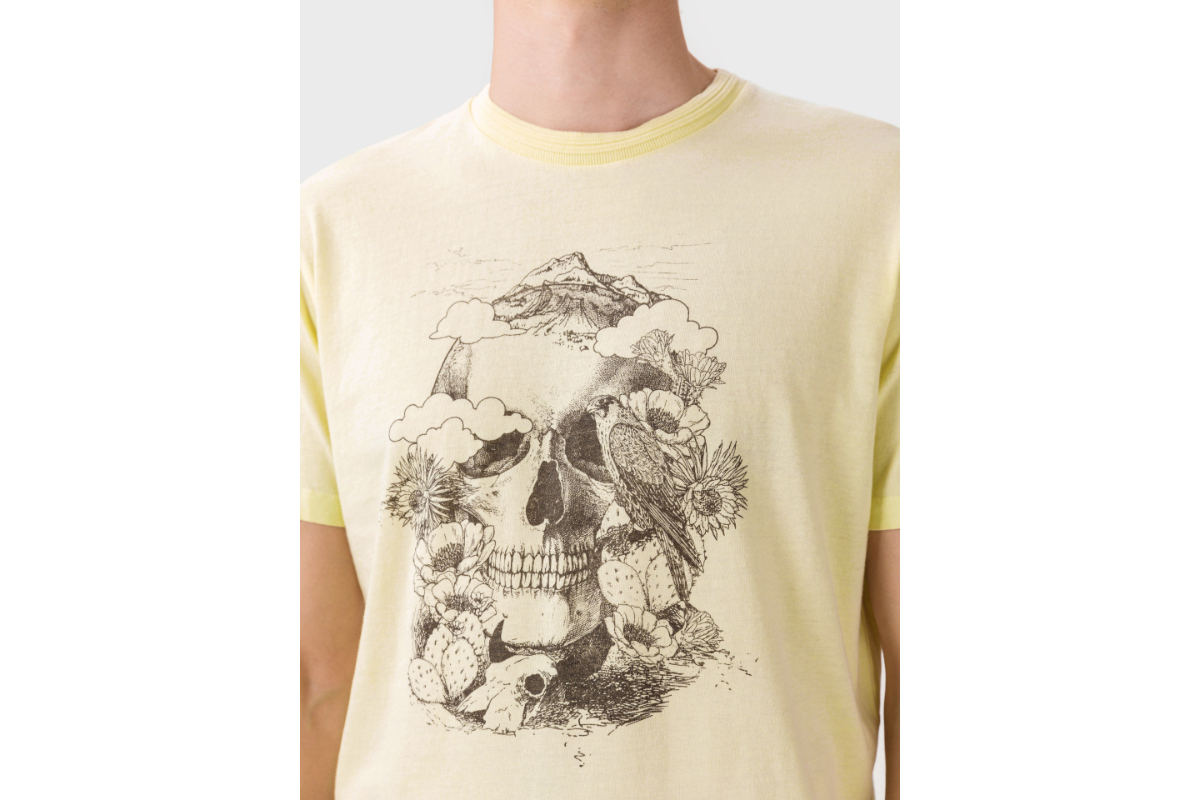 Jack&Jones 12170382 Pear Sorbet / REG Erkek T-Shirt Sarı