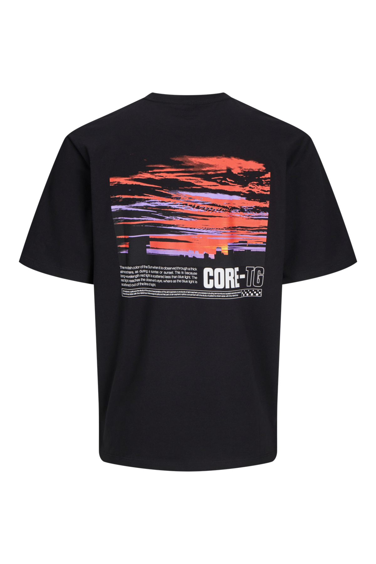 Jack&Jones 12269989 JCOFLASH TEE SS CREW Erkek T-Shirt Siyah