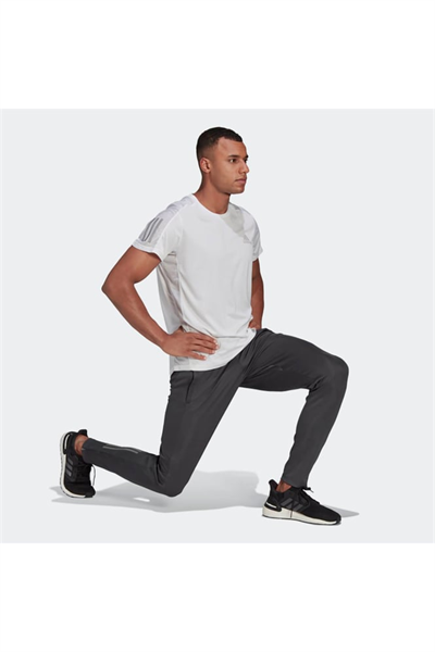 Adidas GJ9947 Astro Pant M Erkek Eşofman Altı Gri