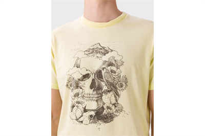 Jack&Jones 12170382 Pear Sorbet / REG Erkek T-Shirt Sarı