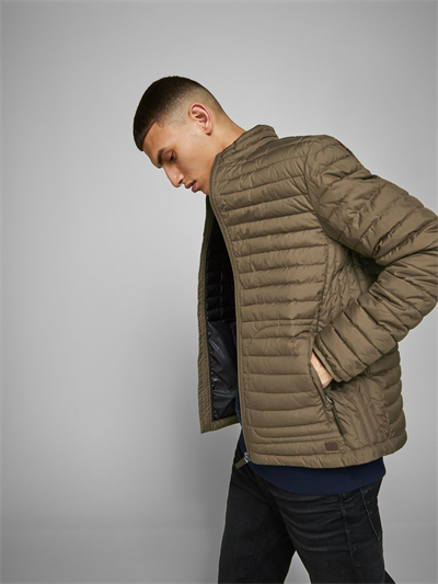 Jack&Jones jjRick Jacket 12173809 Erkek Haki Mont Haki yeşil