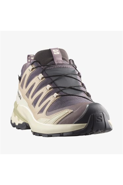 Salomon 477447 XA PRO 3D V9 GTX W Kadın Outdoor Ayakkabı mor