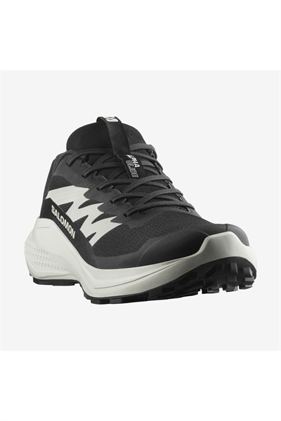 Salomon 478010 ALPHAGLIDE Erkek Outdoor Ayakkabı Siyah Beyaz