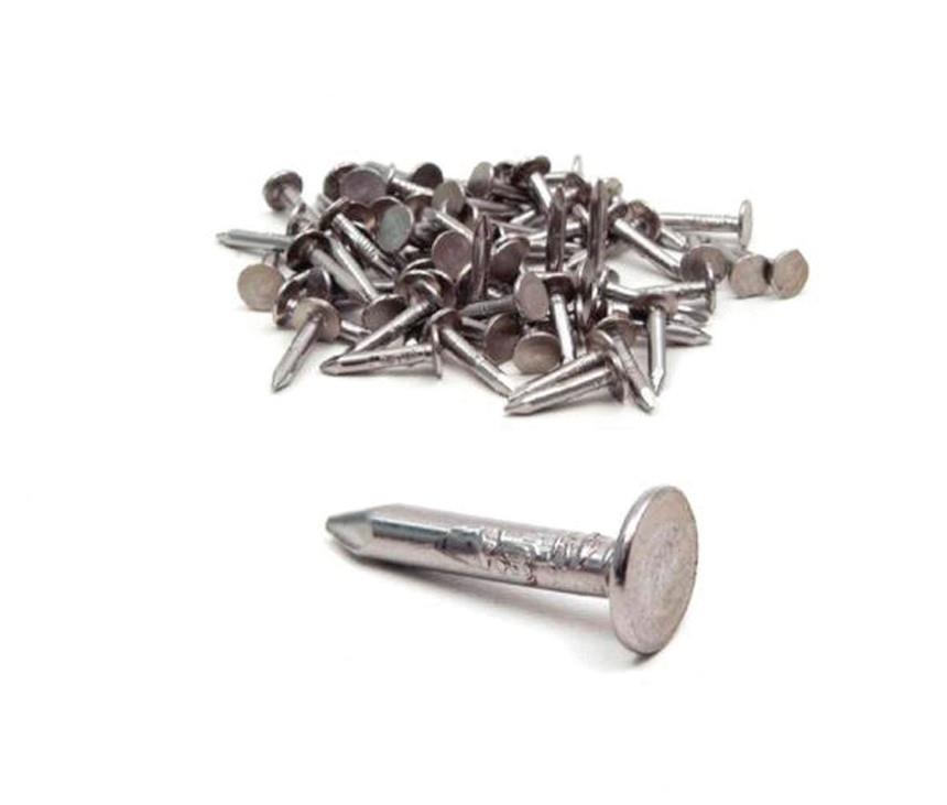ŞINGIL ÇİVİSİ 2.5 CM (PK:2.5KG)             WAGNER