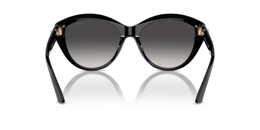 Jimmy Choo JC 5007 50008G 55