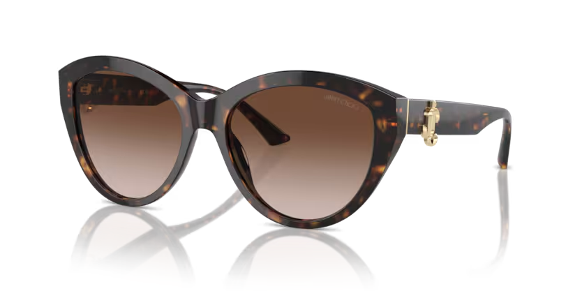 Jimmy Choo JC 5007 500213 55