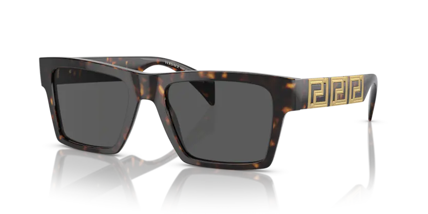 Versace VE 4445 108/87 54