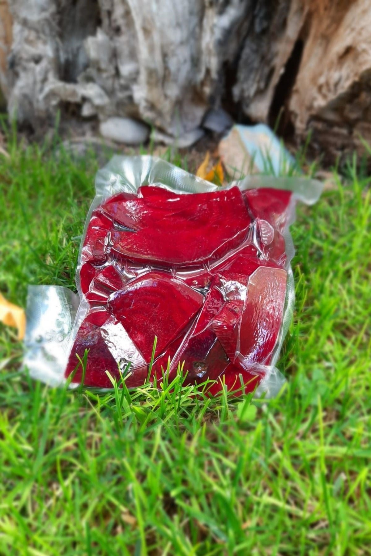 Vakumlanmış Pancar 500 gr