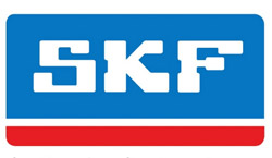 SKF Rulman