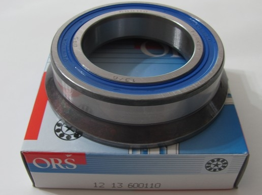 DEBRİYAJ BİLYASI 600110