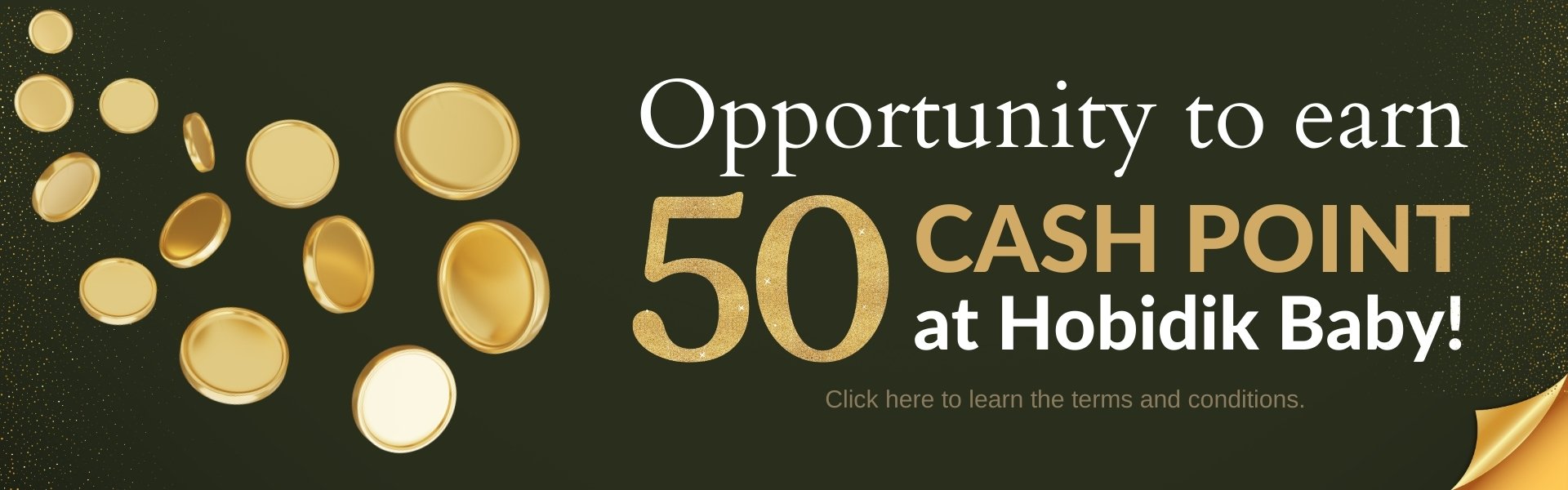 hobidik_cash_point_